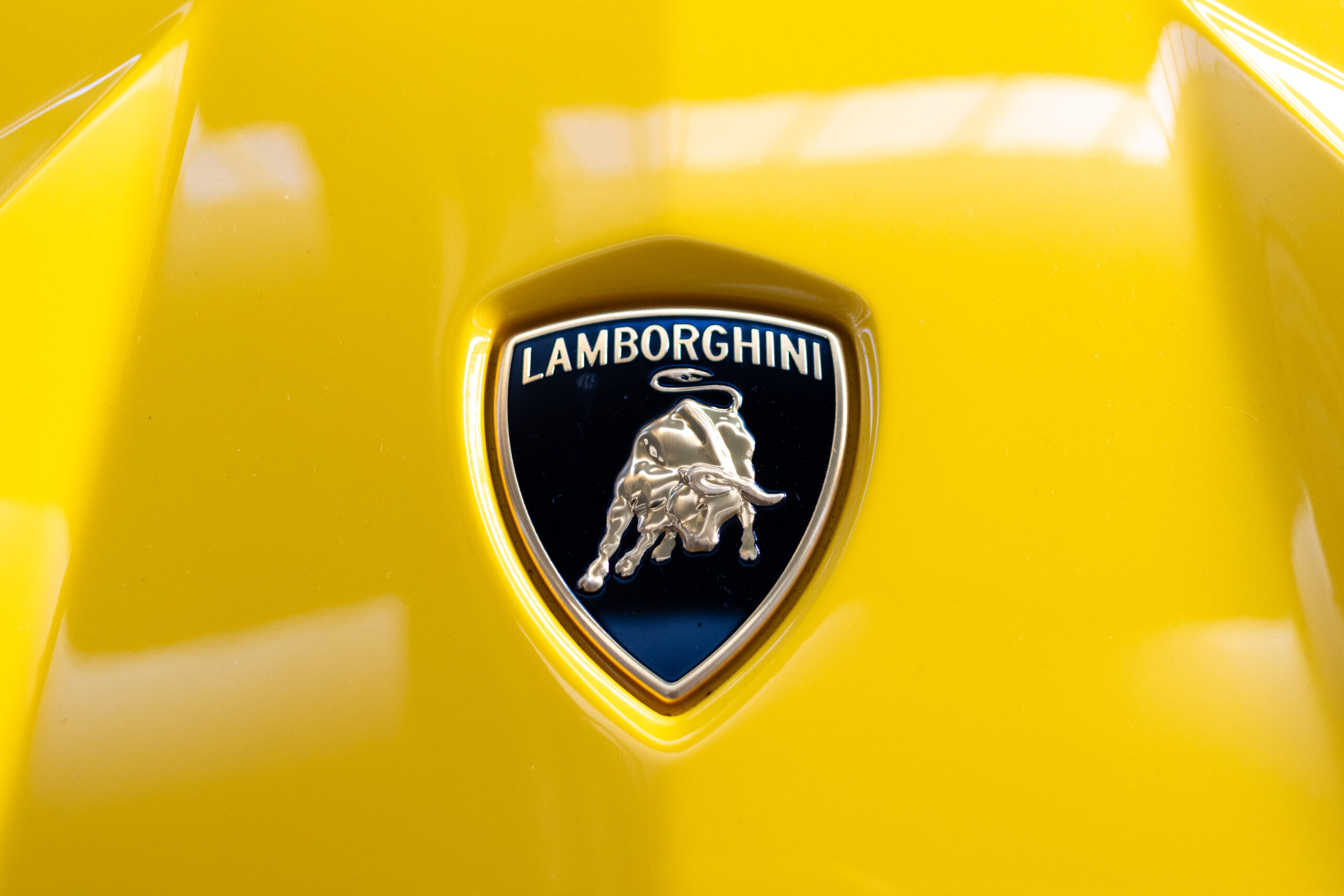 Luxus Taxifahrt - Lamborghini Logo Nahaufnahme